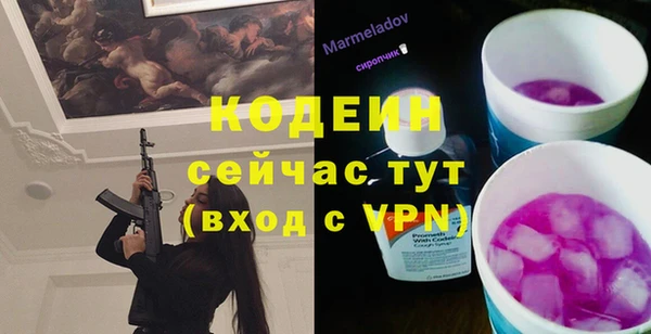 соль ск Дмитров