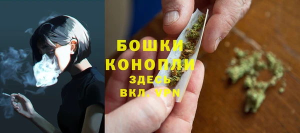 соль ск Дмитров