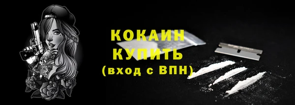 соль ск Дмитров