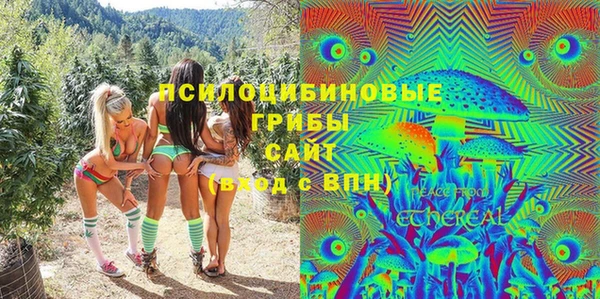 соль ск Дмитров