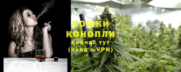 соль ск Дмитров