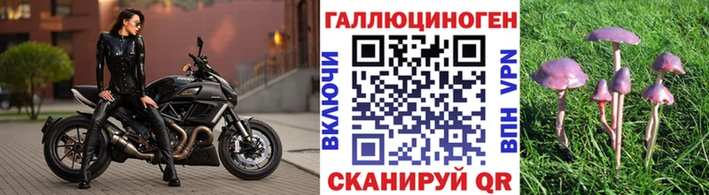 Псилоцибиновые грибы Cubensis купить наркотик Зверево