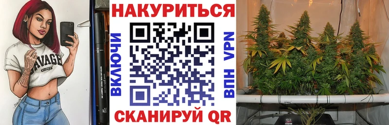 hydra как зайти  наркота  Зверево  Бошки Шишки OG Kush 
